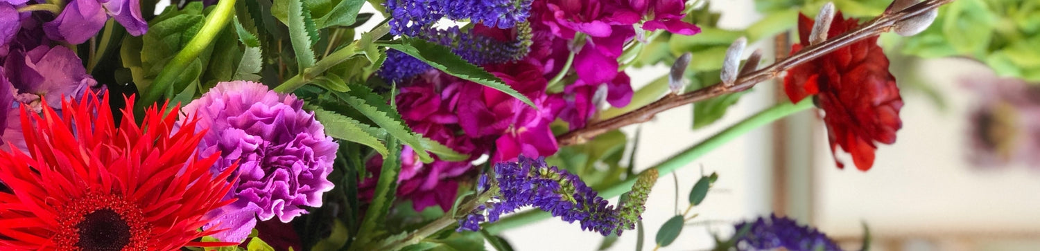 Jewel Tones