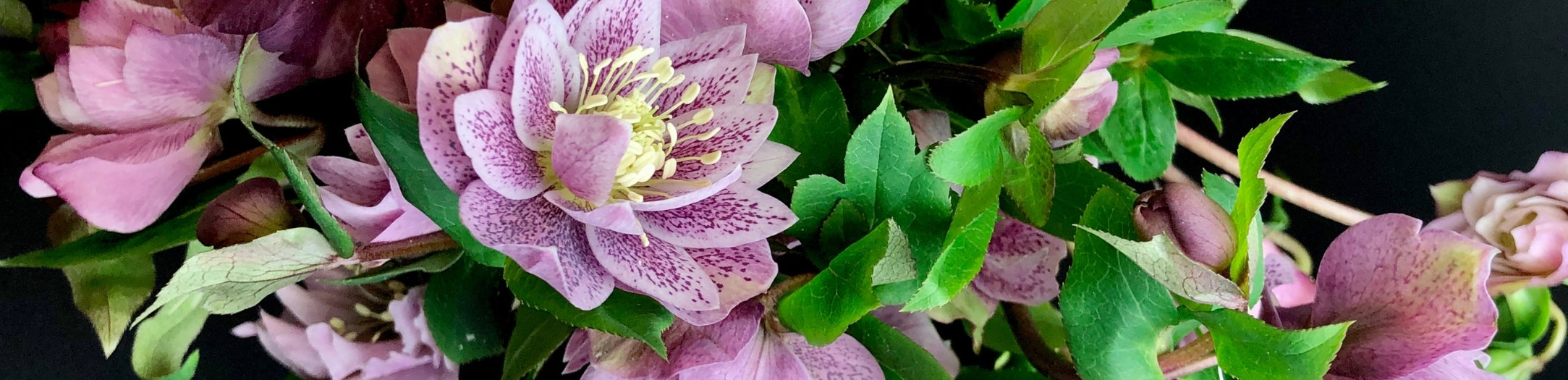 Sympathy Bouquets