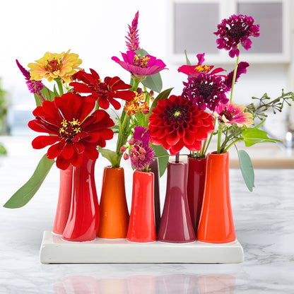 Color Pop Bud Vase