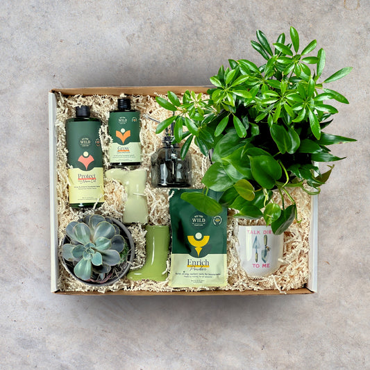 Grow with the Flow Plant Kit